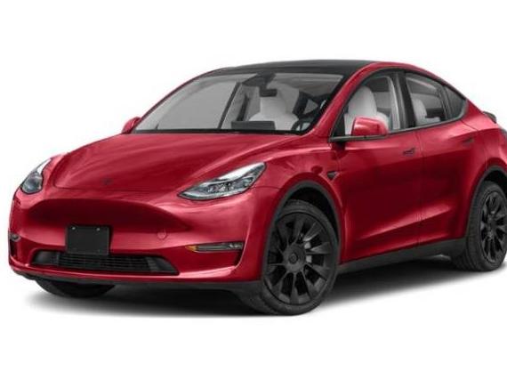 TESLA MODEL Y 2024 7SAYGDED2RF048411 image